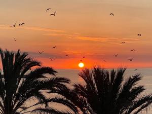 Apartamento frente al mar en El Campello