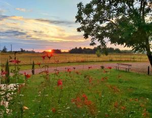 Maisons de vacances Le Cottage Duo Vigne Rouge Sauna Gaillac entre Albi-Toulouse & Les Cottages du Tarn : photos des chambres