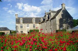 B&B / Chambres d'hotes Les cabanes de Kermenguy : photos des chambres