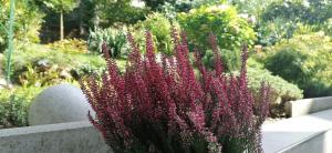 RIKIS APARTMENT-ZAGREB