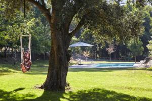 Casa da Oliveira - 4hvězdičkové hotely ve městě Caminha