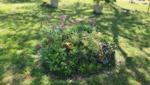 Salamandre 2 proche de Sarlat de 1 à 5 personnes