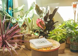 Appartements La Kanopee - Les Loges Normandes : photos des chambres