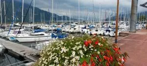 Le clos des primevères - Brison-Saint-Innocent