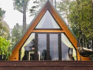 Aleksandra Viesu Namiņš - Višķi