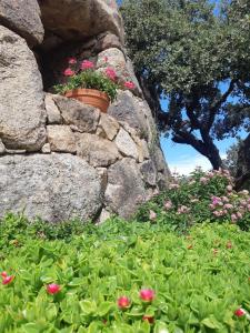 Il Nuraghe del lago Coghinas img65