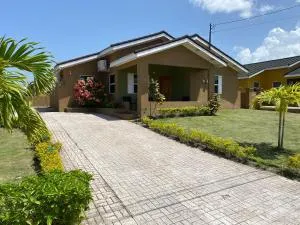 Jam Vibes Villas - Steer Town