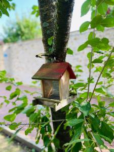 Appartements Suite Cupidon- Domaine des trois chateaux : photos des chambres