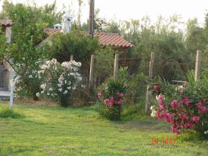 Terpsichore Apartments Messinia Greece