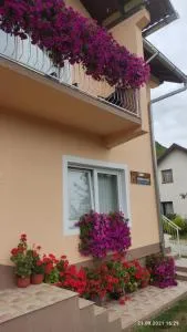 Guest House Šobić - Šipovo