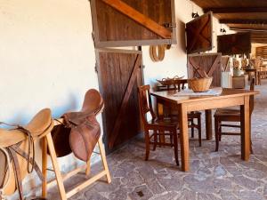 Il Nuraghe del lago Coghinas img60