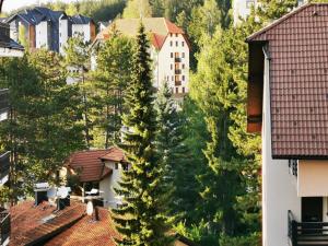 Zlatibor, centar, Villa Bella