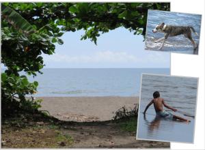 Taylor's Place Tortuguero Costa Rica