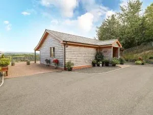 The Firs - 拉尼德洛伊斯