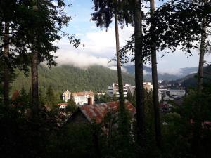 Tudor View Apartament