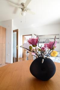 Apartment Glicinija Zadar 