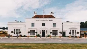 The Wellington Arms - Basingstoke-Reading - 埃弗斯利