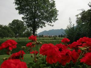 Ferienwohnung Enzian im Haus Schmid