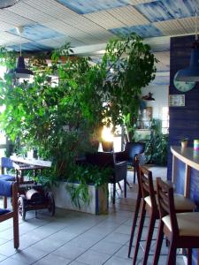Hotels Hotel du Petit Matelot : photos des chambres