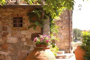 Hotel Colle Etrusco Salivolpi img43