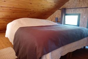 Chalets Chalet en foret, brame du cerf : photos des chambres