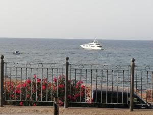 Appartamento Belvedere img15