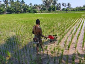 THE FARM CREST, ECR KADALLUR