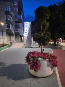 Apartment Lamele Bugojno - 4hvězdičkové hotely ve městě Bugojno