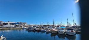 Maisons de vacances Listed Accomodation 4 At 300m river 800m village and 30mn Nice Cannes Antibes : photos des chambres