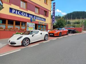 Hosteria Picos De Europa