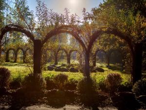 Wierzbowe Ranczo - blisko Suntago