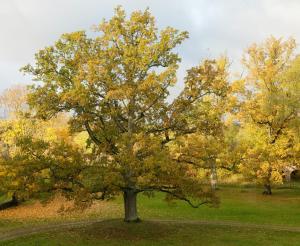 Brīvdienu māja Dukāti