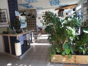 Hotels Hotel du Petit Matelot : photos des chambres