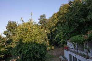 Maisons de vacances Le Perchoir Correzien : photos des chambres