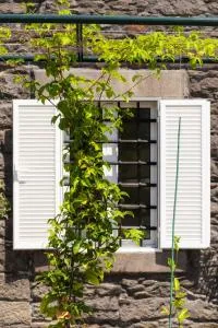 Casa Amarela Apartments - by Casas na Ilha - Panasqueira