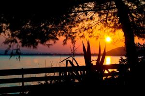 Villa Aggeliki Evia Greece