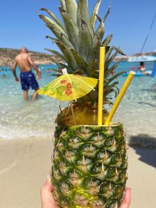 Sunshine Apartments Mellieha - modern three bedroom ground floor apartment with yard