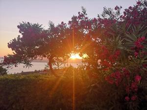 La casa sul tramonto - Capoliveri - services included - 4hvězdičkové hotely ve městě Capoliveri