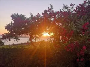 La casa sul tramonto - Capoliveri - services included - Trappola