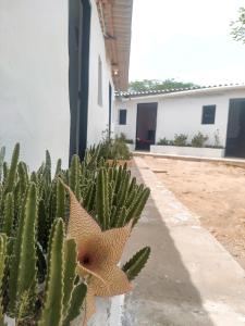 Hostal CQ Camarones