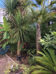 Maisons de vacances La petite maison dans la jungle : photos des chambres