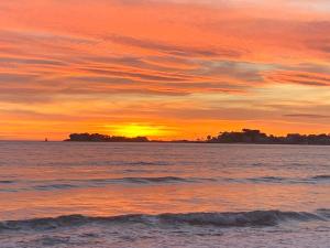 Les Appartements de La Marina : photos des chambres