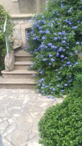 Maisons de vacances Chez Catherine : Maison de Ville 3 Chambres