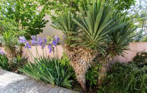 Apartmani Andreas 