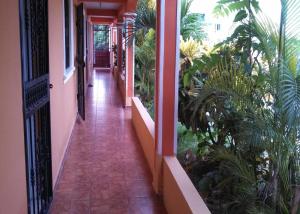 Room in Guest room - Apartahotel Next Nivel - Queen Room with Fan