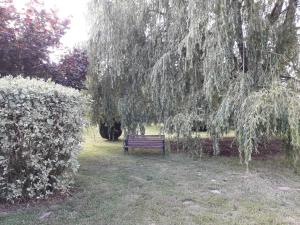 Sejours chez l'habitant Un petit coin de paradis : photos des chambres