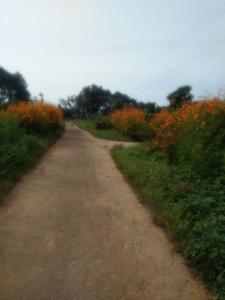 Chamayam Holiday Villa