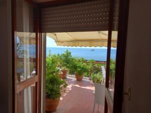 WHITE LOTUS Apartment