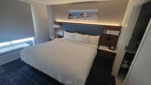 King Suite - Non-Smoking room in Wingate by Wyndham Panama City Area Lynn Haven