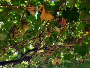 La casetta di Biancaneve Valtellina e lago di Como
